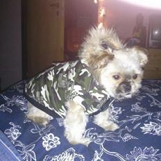 Blanding af racer Balu