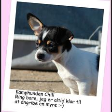 Blanding af racer Chili