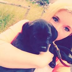 Blanding af racer Trisse