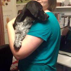 Blanding af racer Zita