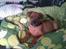 Blanding af racer ( bob ) marley - Marley 12 13 uger 