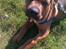 Blanding af racer ( bob ) marley - Marley min lille charmetrold
