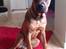 Blanding af racer ( bob ) marley - marley 5 mdr flottefyr
