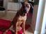 Blanding af racer ( bob ) marley - Marley 5mdr flottefyr