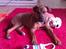 Blanding af racer ( bob ) marley - Marley 5mdr 