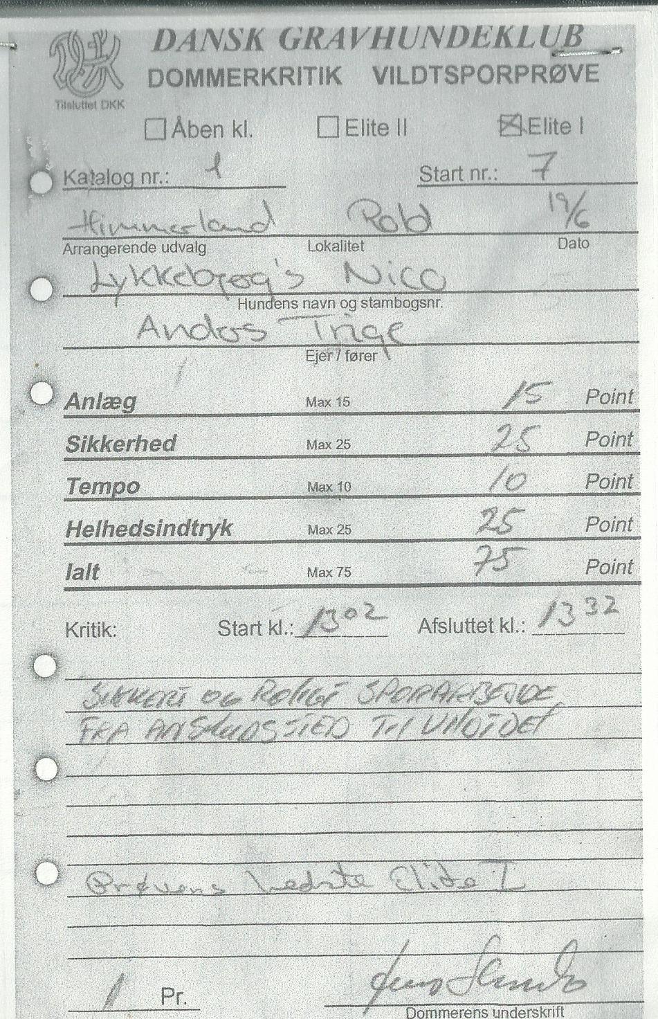 Gravhund Nico billede 16