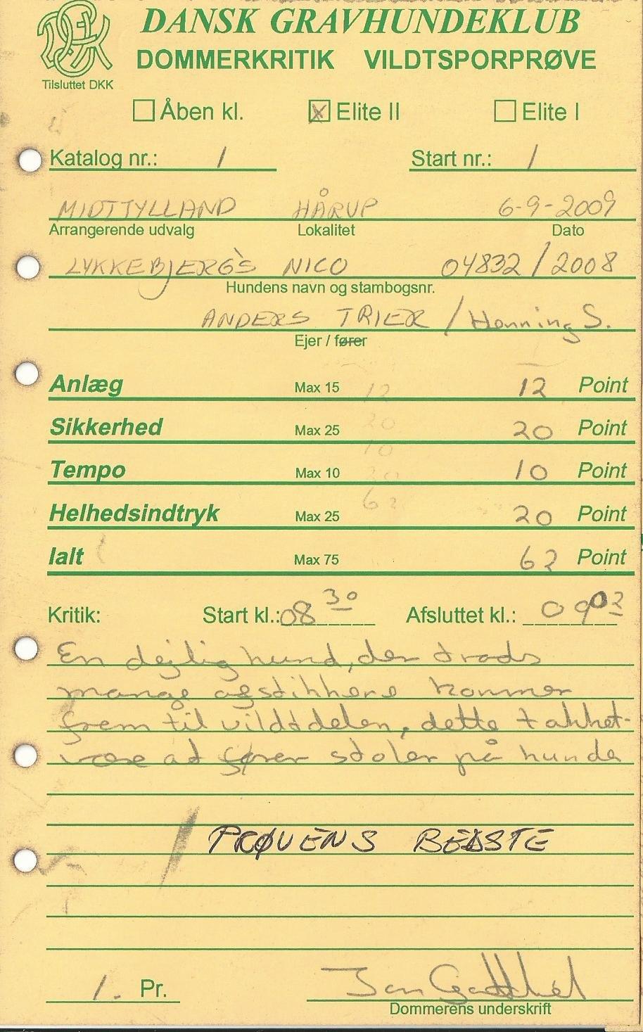 Gravhund Nico billede 17