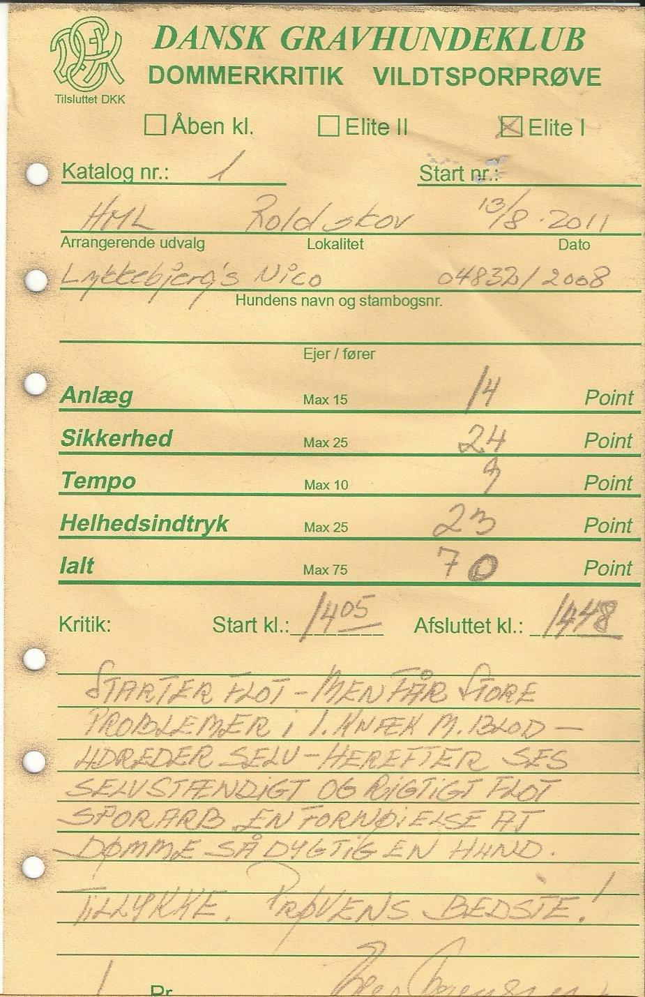 Gravhund Nico billede 18