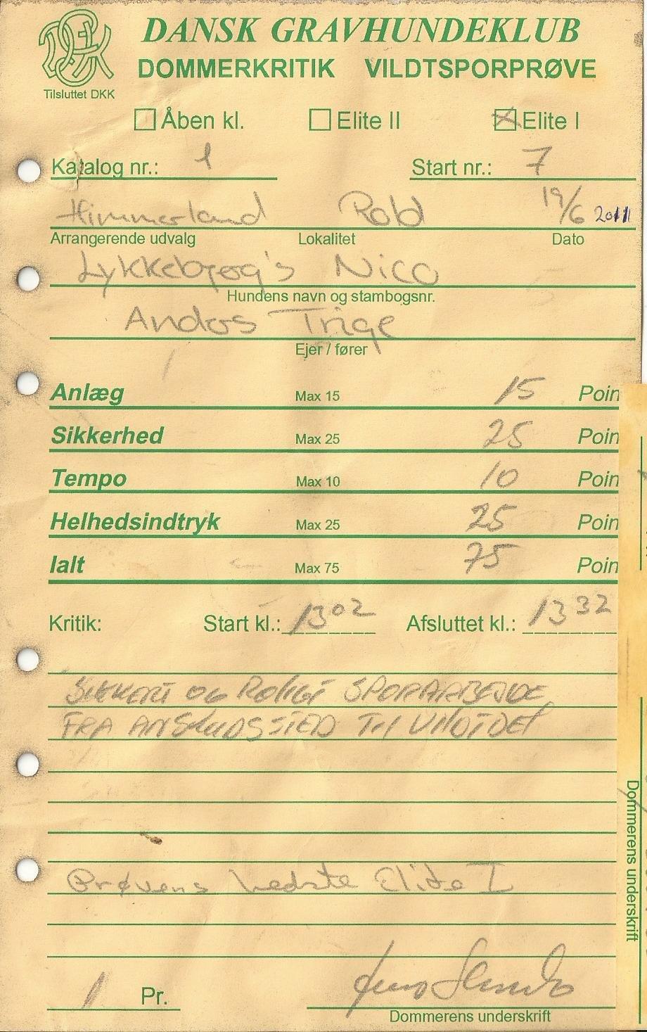 Gravhund Nico billede 19