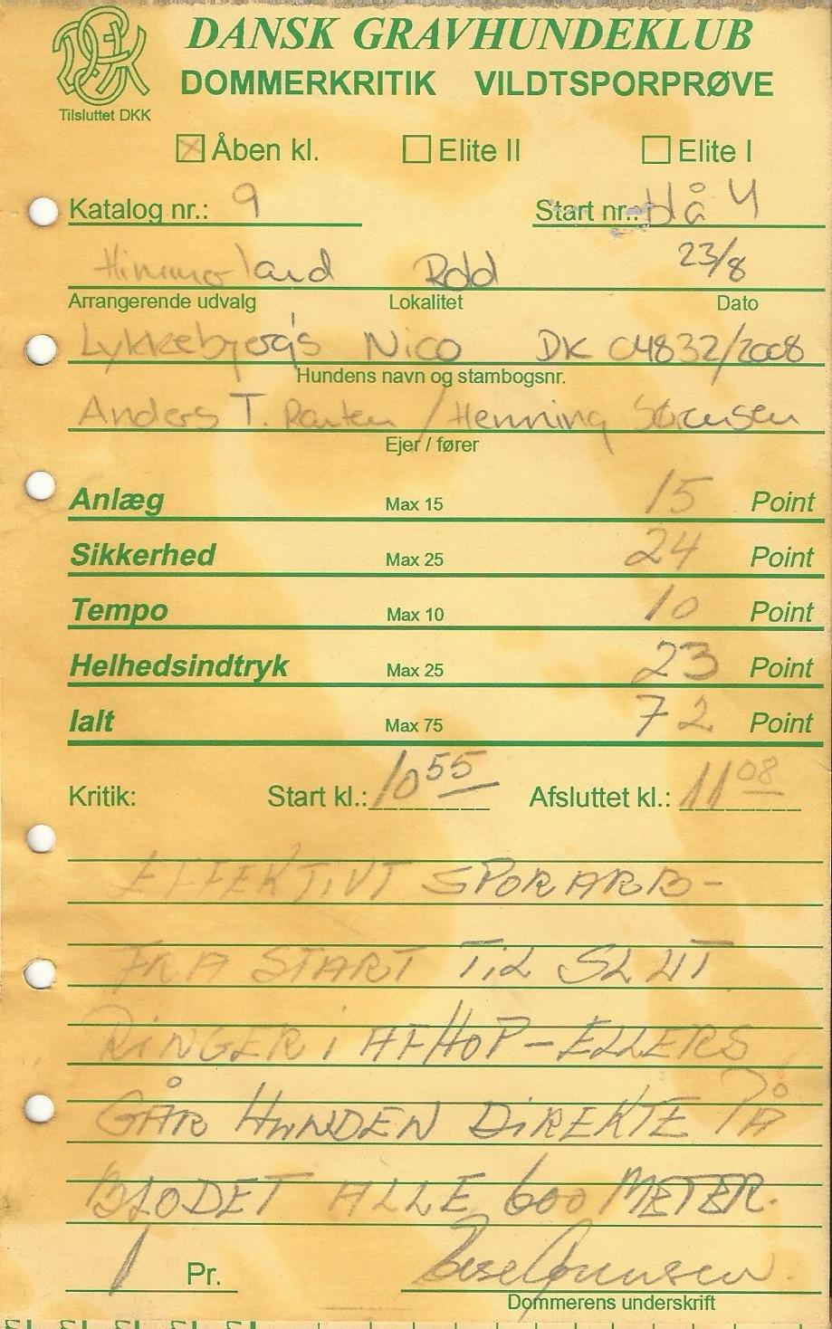 Gravhund Nico billede 20