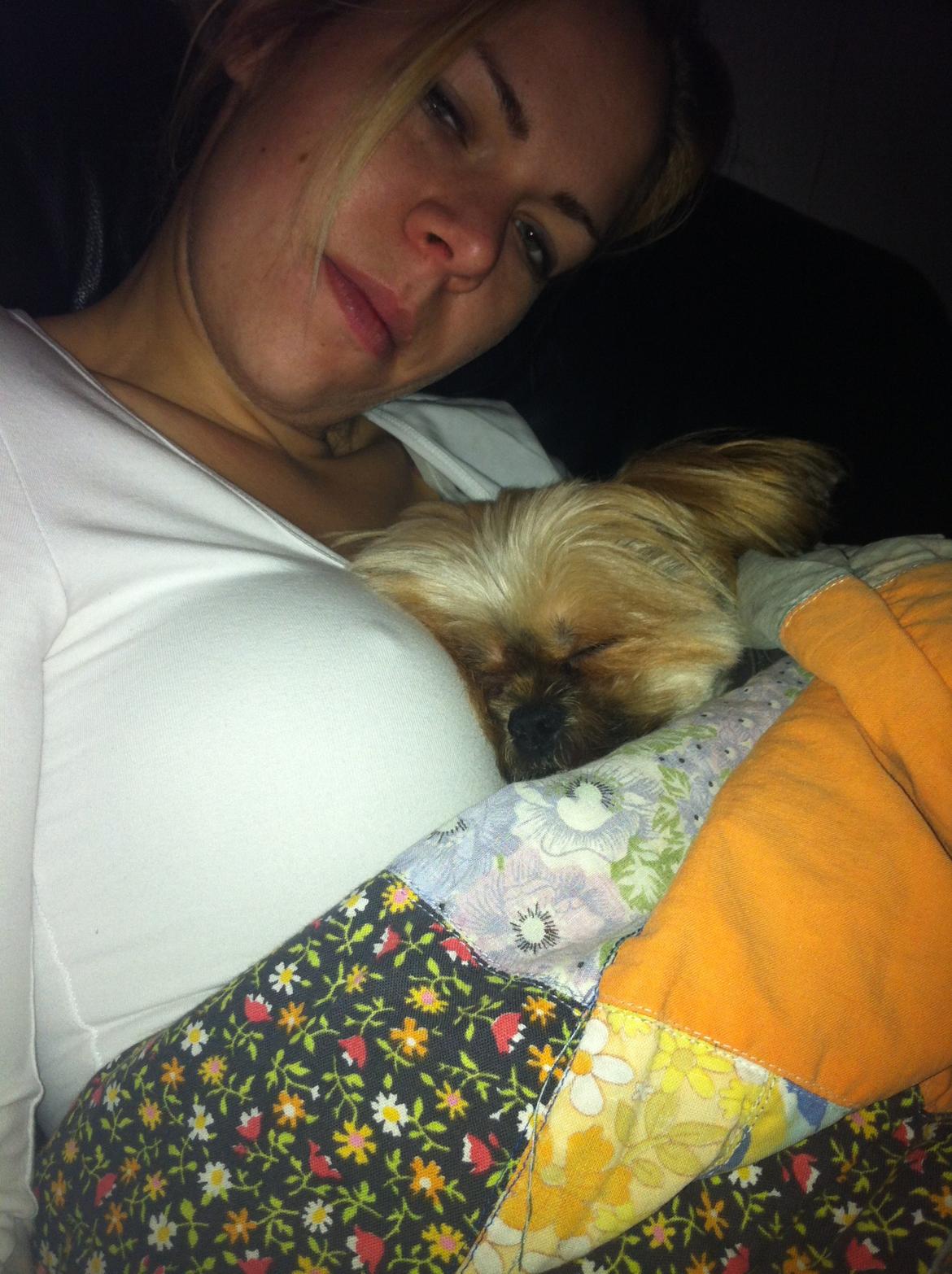 Blanding af racer Balu billede 17