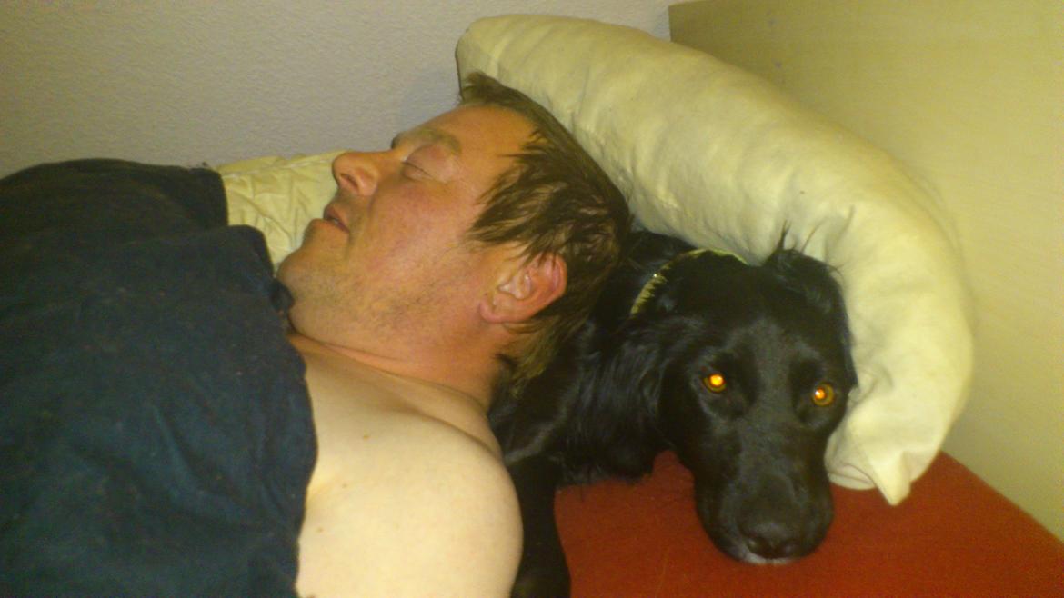 Blanding af racer Nala billede 16