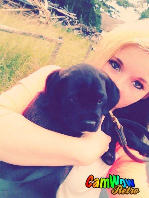 Blanding af racer Trisse billede 2