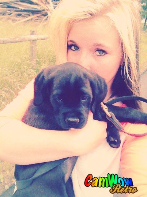 Blanding af racer Trisse billede 3