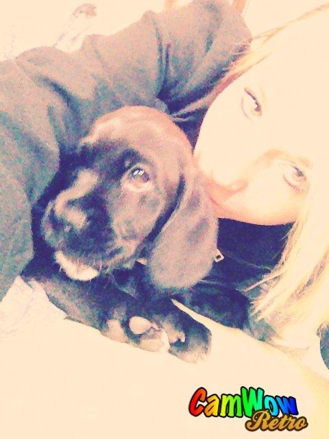 Blanding af racer Trisse billede 7