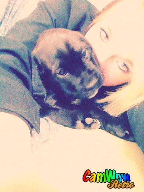 Blanding af racer Trisse billede 8