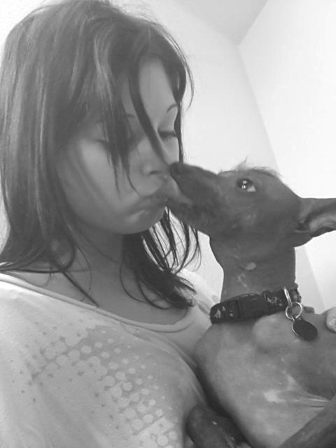 Xoloitzcuintle Pankas - Pankas <3 billede 1