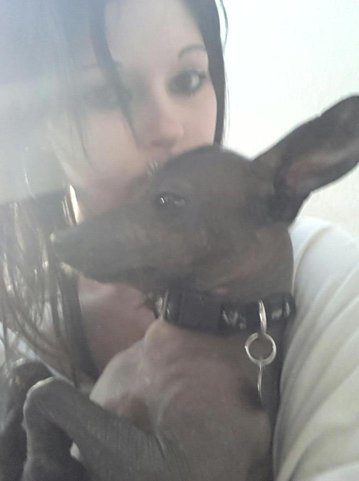 Xoloitzcuintle Pankas - Pankas <3 billede 2