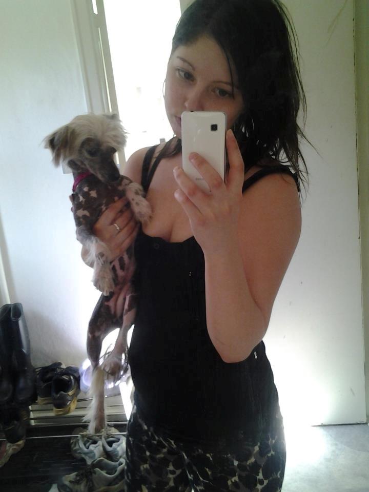 Chinese crested hårløs Dusia billede 5