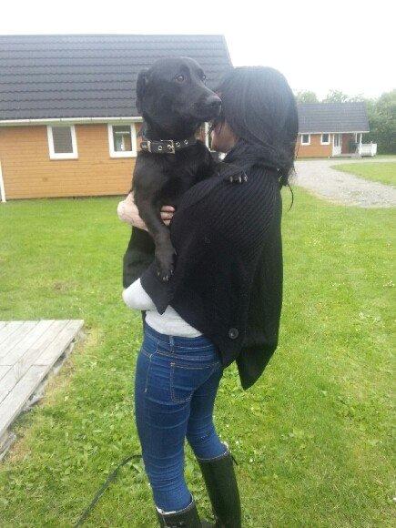 Blanding af racer Balou billede 19