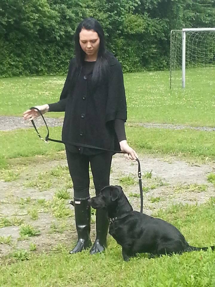 Blanding af racer Balou billede 21