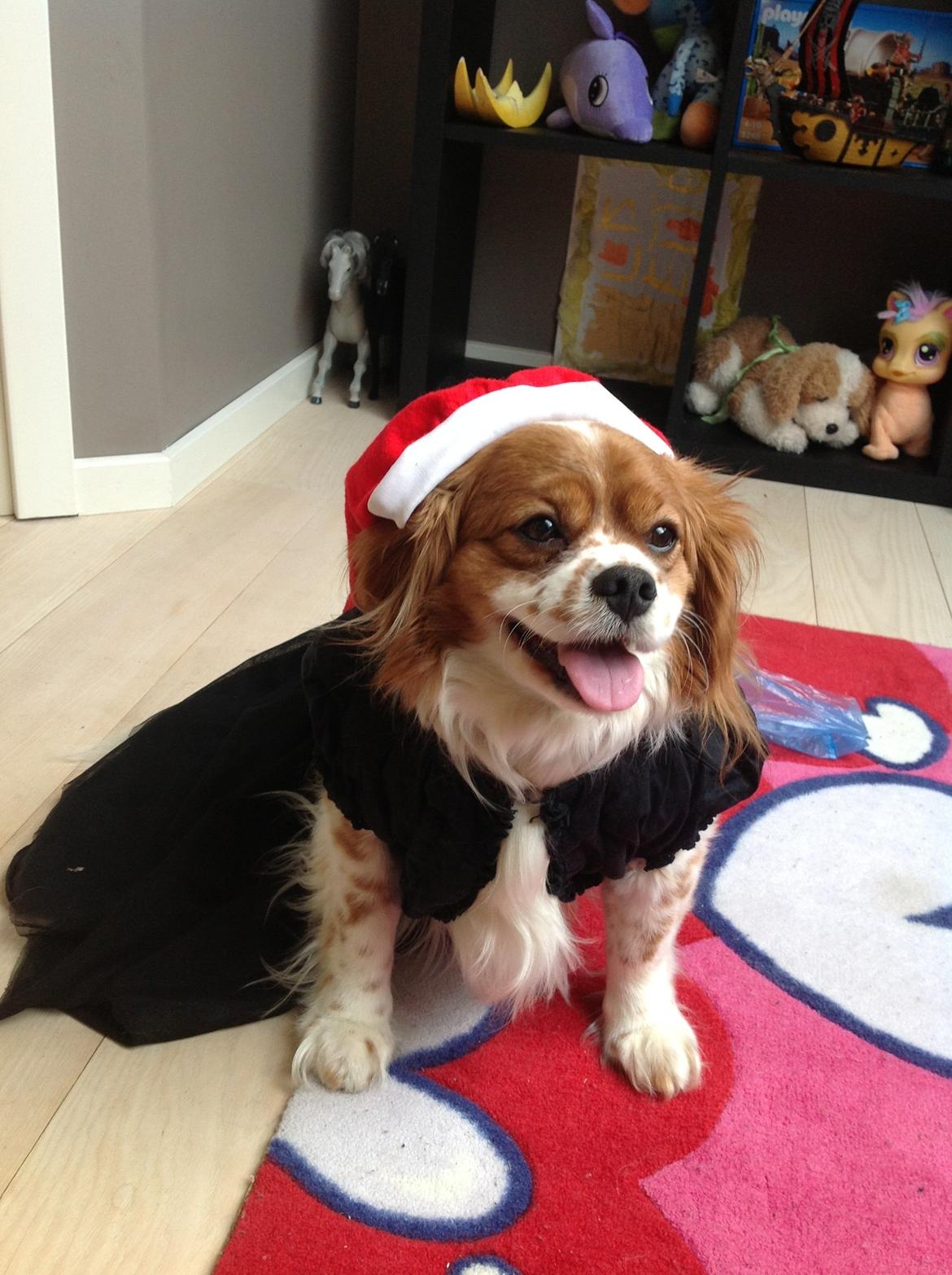 Blanding af racer Charlie billede 1