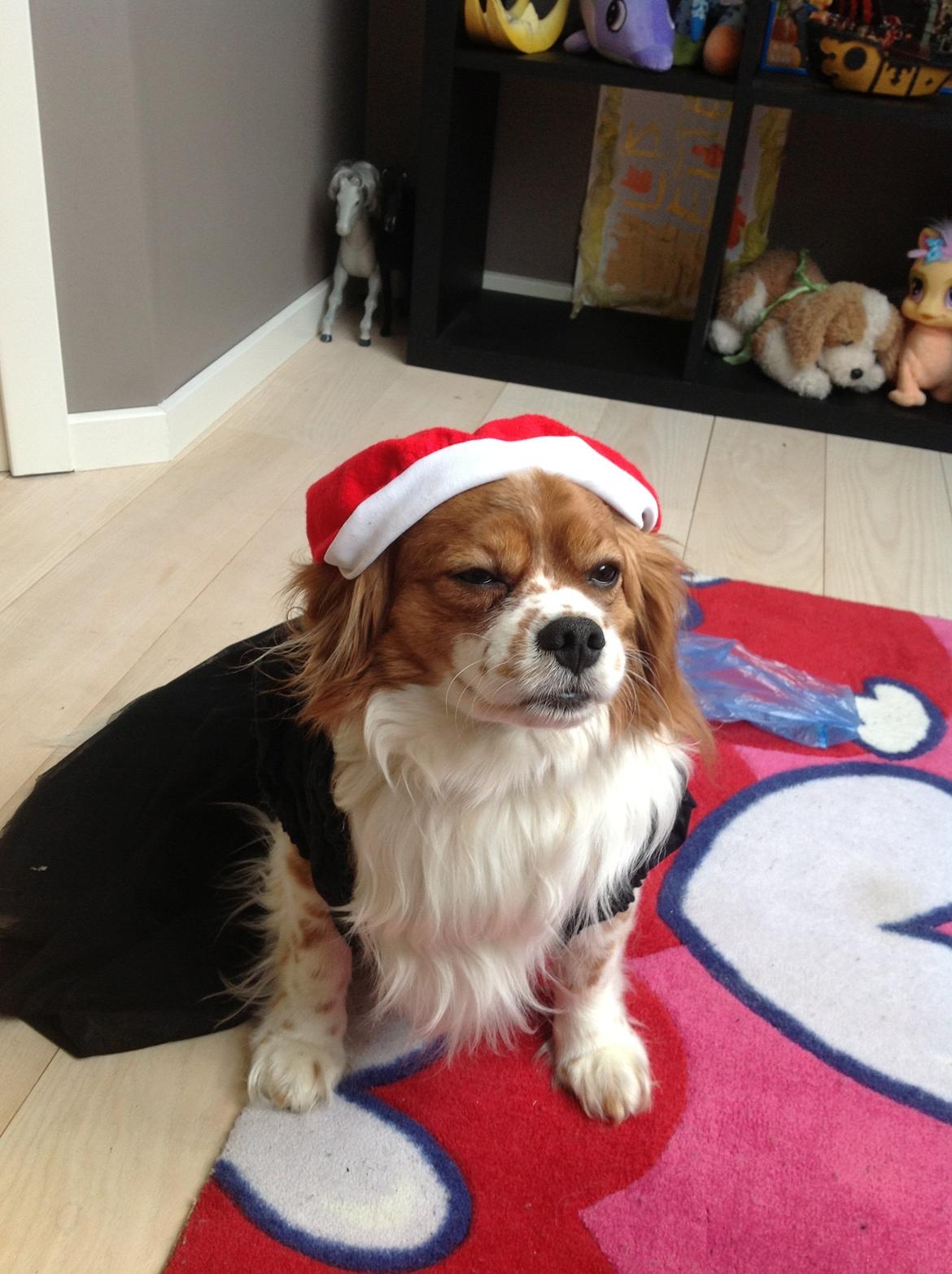 Blanding af racer Charlie billede 3