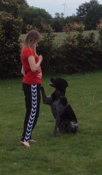 Blanding af racer Alou - Gi pote <3 billede 4