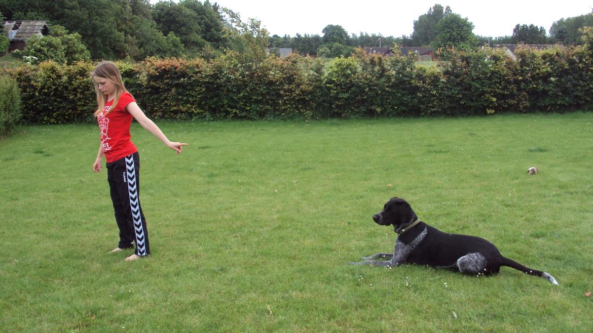 Blanding af racer Alou - Bliv<3 billede 6