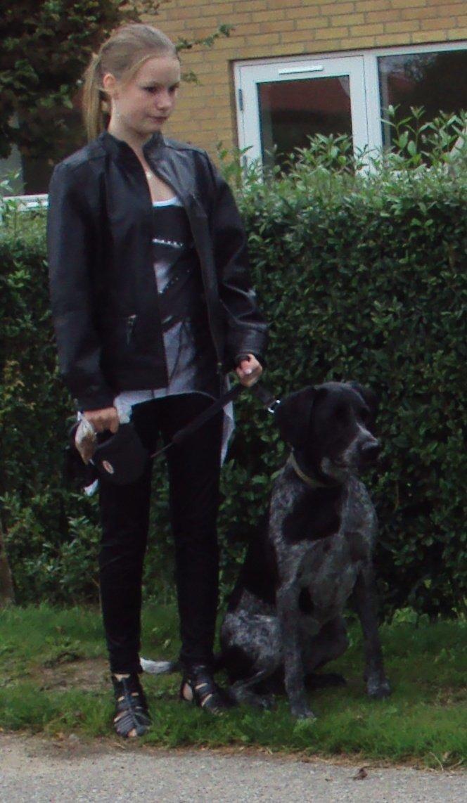 Blanding af racer Alou - Lidt træning i at gå og side pænt :) billede 8