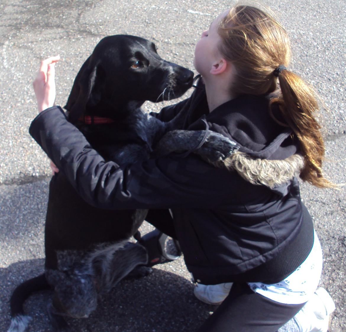 Blanding af racer Alou - En dejlig hunde-krammer! Sådan hilste vi altid på hinanden :) <3 billede 10