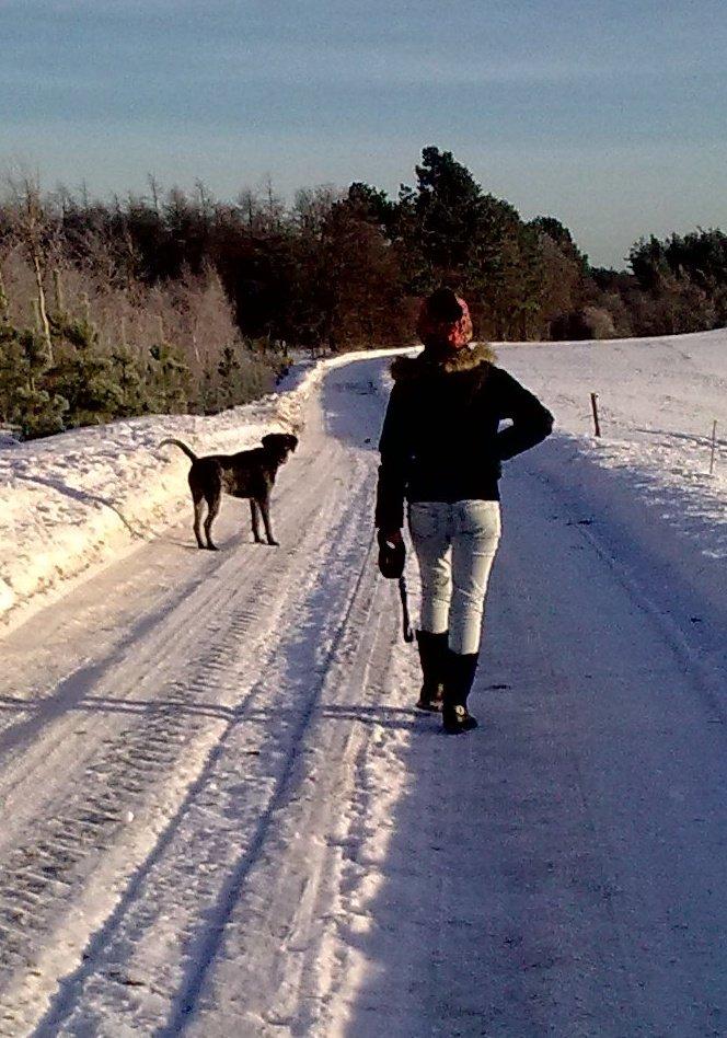 Blanding af racer Alou - Sådan stod hun altid og kiggede på mig, for at se om jeg var med :) billede 15