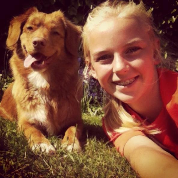 Nova scotia duck tolling retriever Millle billede 5