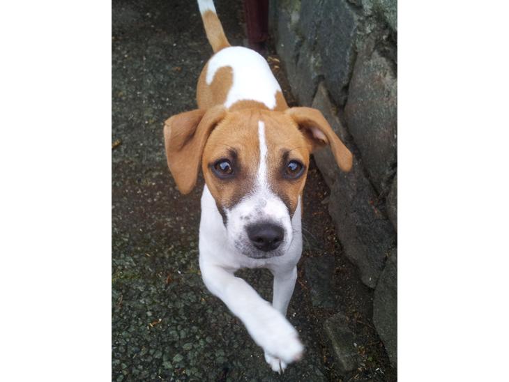 {{currentPhoto.altText}} billede {{currentPhoto.number}}