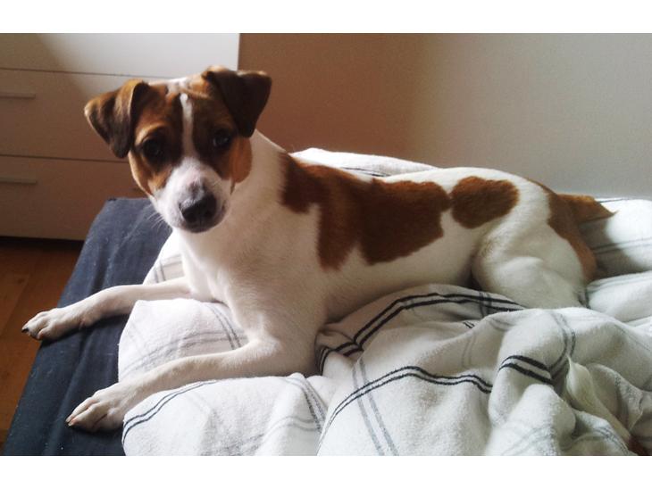 {{currentPhoto.altText}} billede {{currentPhoto.number}}