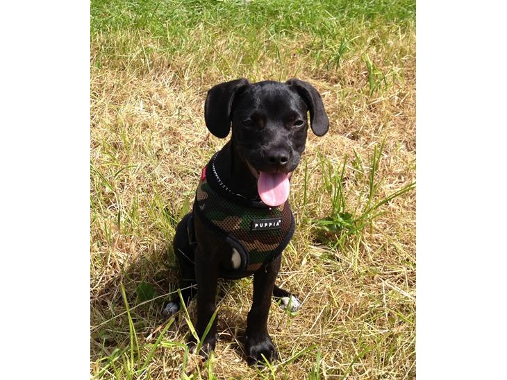 {{currentPhoto.altText}} billede {{currentPhoto.number}}