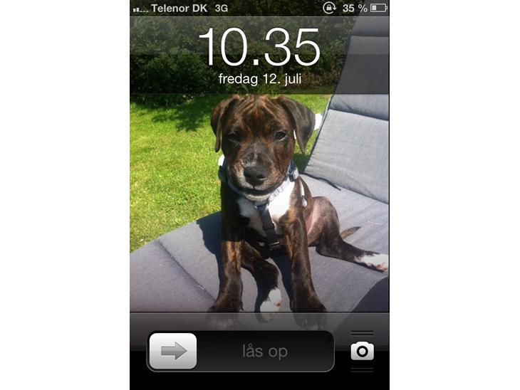 {{currentPhoto.altText}} billede {{currentPhoto.number}}