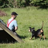 Blanding af racer Oskar