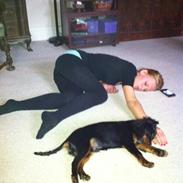 Cavalier king charles spaniel Baloo