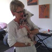 Chinese crested hårløs Ozzy <3