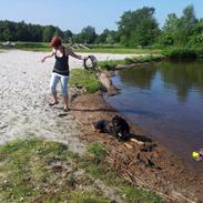 Blanding af racer Tyson