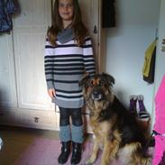 Blanding af racer Laban!<3 (R.I.P)