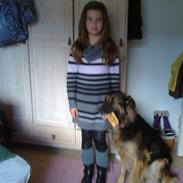 Blanding af racer Laban!<3 (R.I.P)