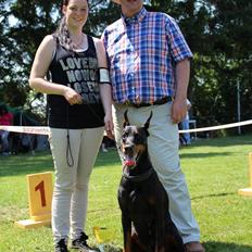 Dobermann Legrant Land Bohema Born