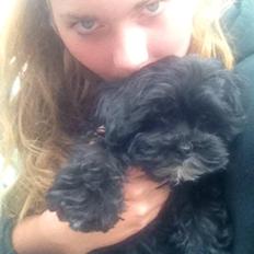 Blanding af racer | Fie