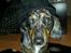 Blanding af racer 'Begga' Gravhund/DSG "Blue merle" - klar til bal! :D