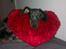 Blanding af racer 'Begga' Gravhund/DSG "Blue merle" - i <3 u