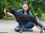 Dobermann Destiny´s Phoenix In The Spotlight aka Bentley