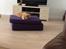 Nova scotia duck tolling retriever Millle