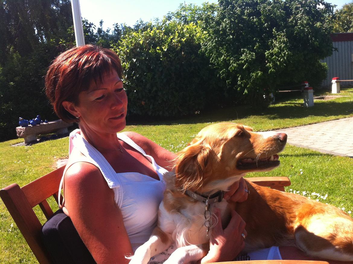 Breton Bessie billede 3